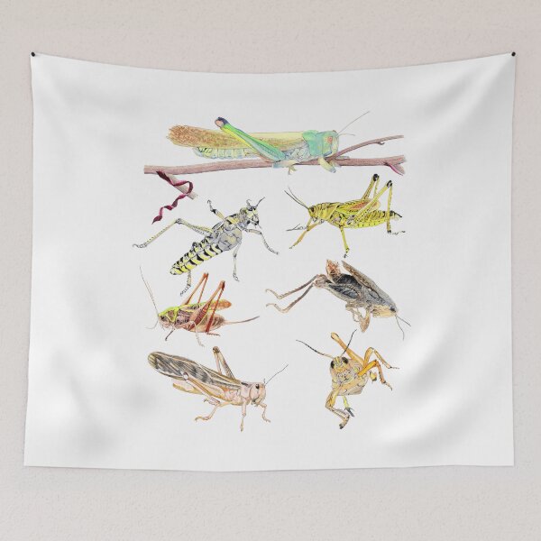 Item preview, A Medley of Grasshoppers and Locusts designed and sold by AuntieBetty.