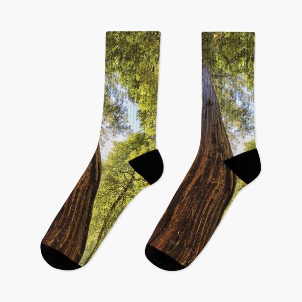 Item preview, The Redwoods designed and sold by Yair Karelic.