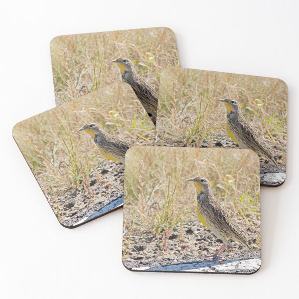 Item preview, Western Meadowlark  designed and sold by JRRouse.