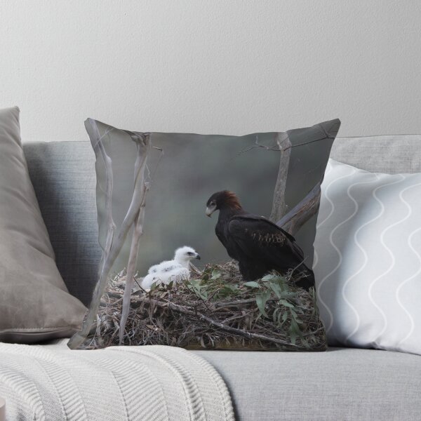 Item preview,  Eagle Nest. designed and sold by Donovan Wilson.