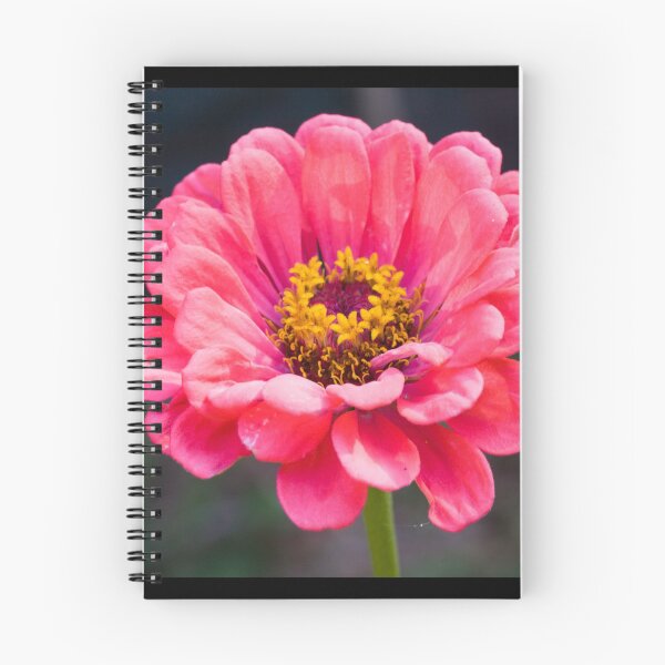 Item preview, Pink Gerbera designed and sold by Connie Pinson.