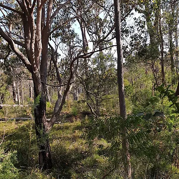 Artwork thumbnail, Outback by Keeley Clinton