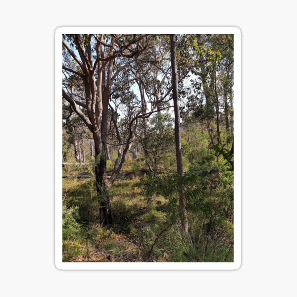 Item preview, Outback designed and sold by Keeley Clinton.