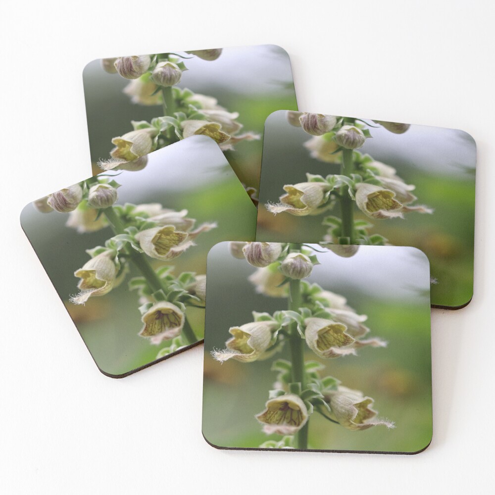 Item preview, Coasters (Set of 4) designed and sold by cuprum.