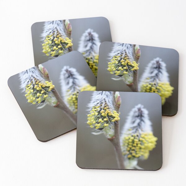Item preview, Catkins season I designed and sold by cuprum.