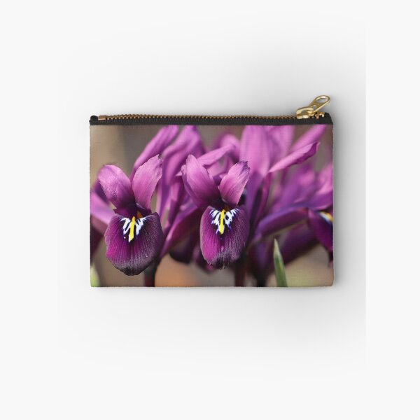 Item preview, Purple Iris reticulata designed and sold by cuprum.