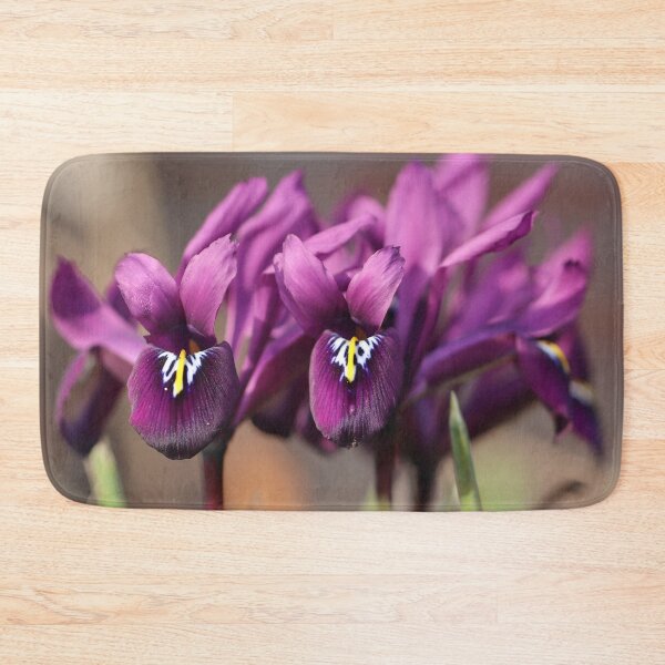 Item preview, Purple Iris reticulata designed and sold by cuprum.