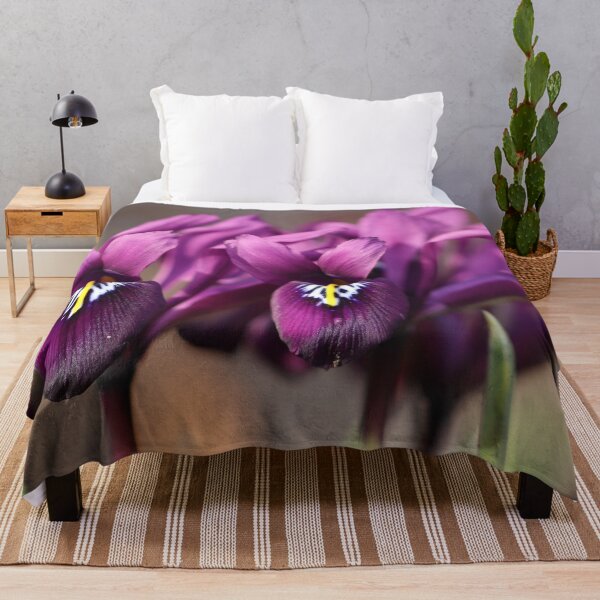Item preview, Purple Iris reticulata designed and sold by cuprum.