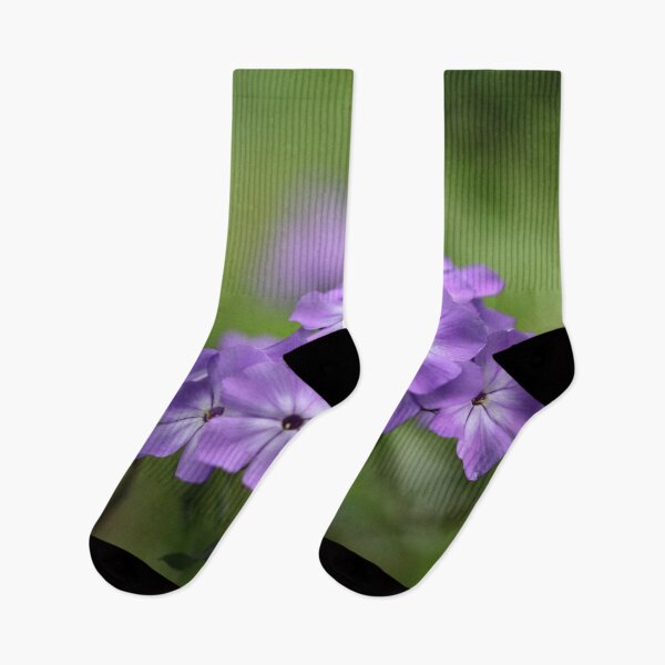 Item preview, Phlox designed and sold by cuprum.