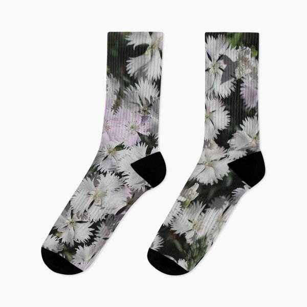 Item preview, Dianthus designed and sold by cuprum.