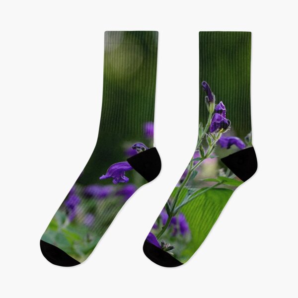 Item preview, Strobilanthes atropurpureus designed and sold by cuprum.