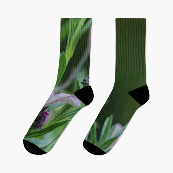 Item preview, Lavandula Stoechas designed and sold by cuprum.