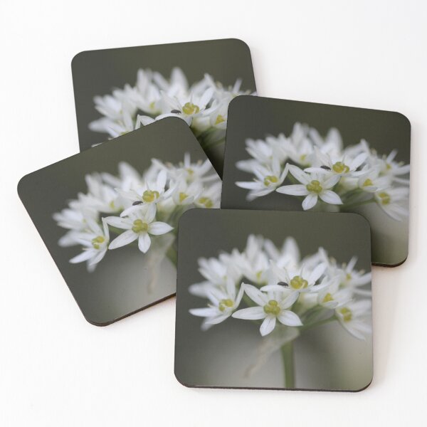 Item preview, Wild garlic designed and sold by cuprum.