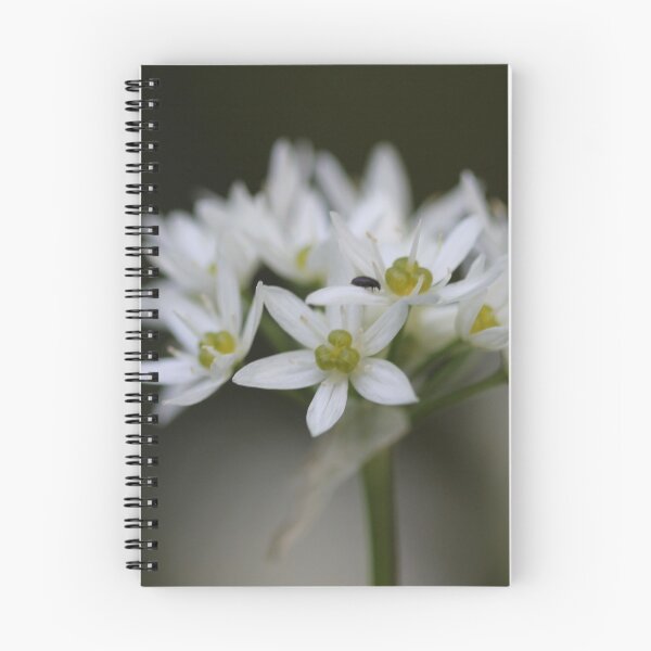 Item preview, Wild garlic designed and sold by cuprum.