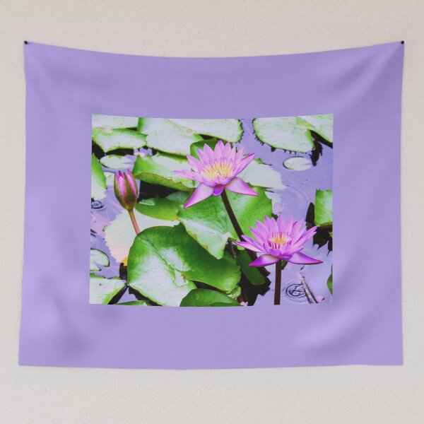 Item preview, Tahitian Water Lily Photo designed and sold by Sharon Schwalbe.