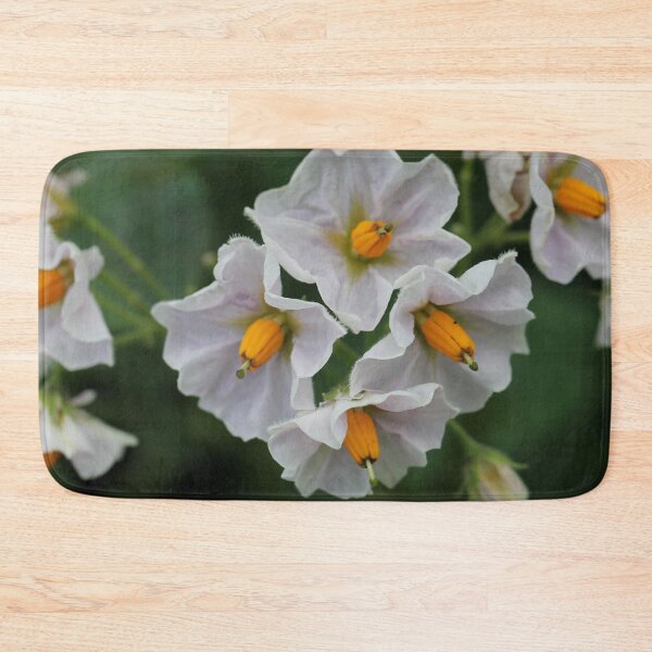 Item preview, The unexpected beauty of the potato flower designed and sold by cuprum.