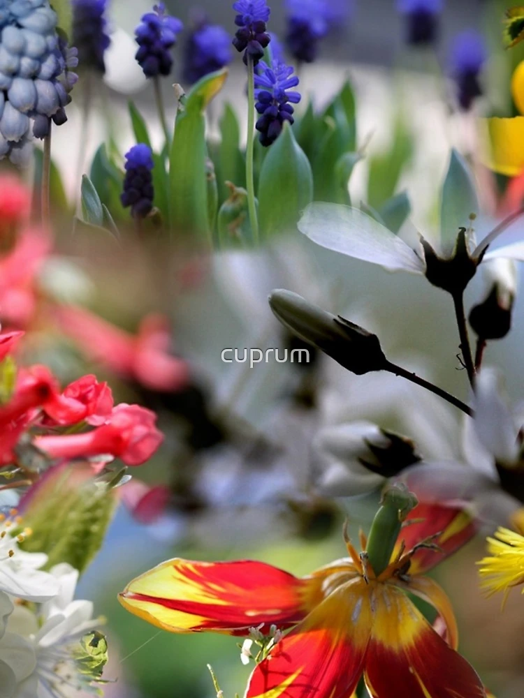 Thumbnail 4 of 4, iPhone Case, Springtime! designed and sold by cuprum.