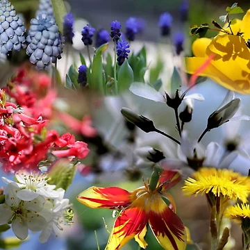 Artwork thumbnail, Springtime! by cuprum