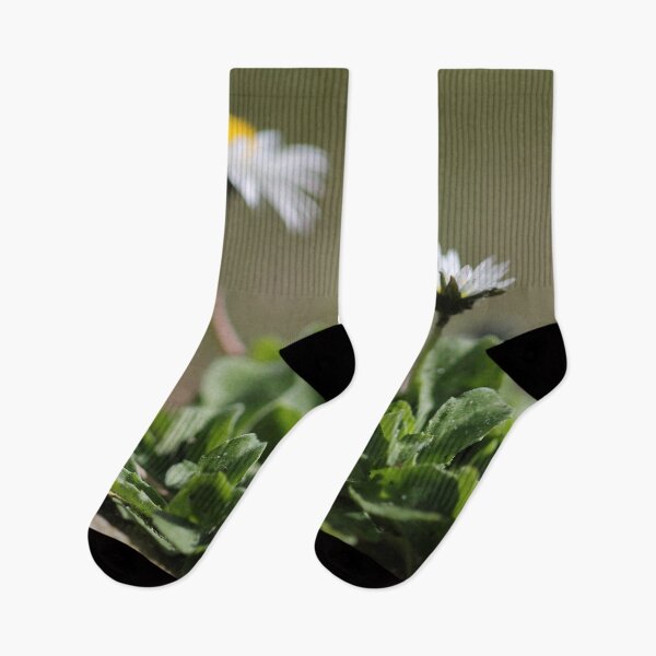 Item preview, Daisies designed and sold by cuprum.