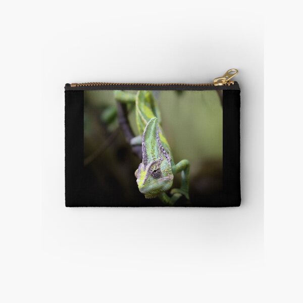 Item preview, Chameleon designed and sold by Gary Brookshaw.
