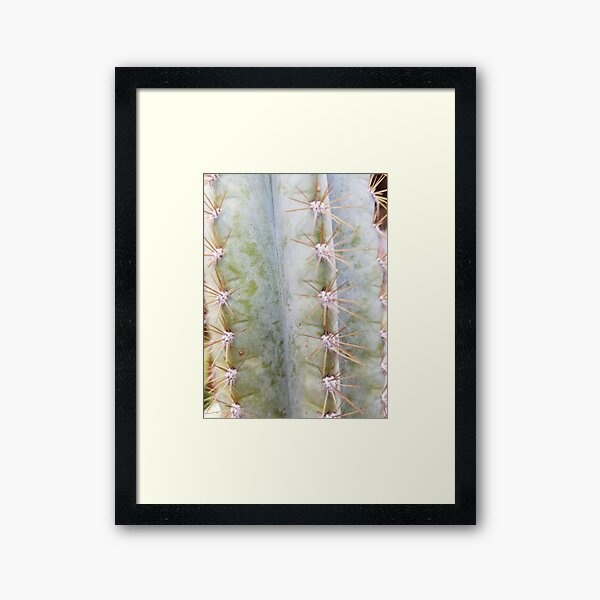 Cactus Framed Art Print