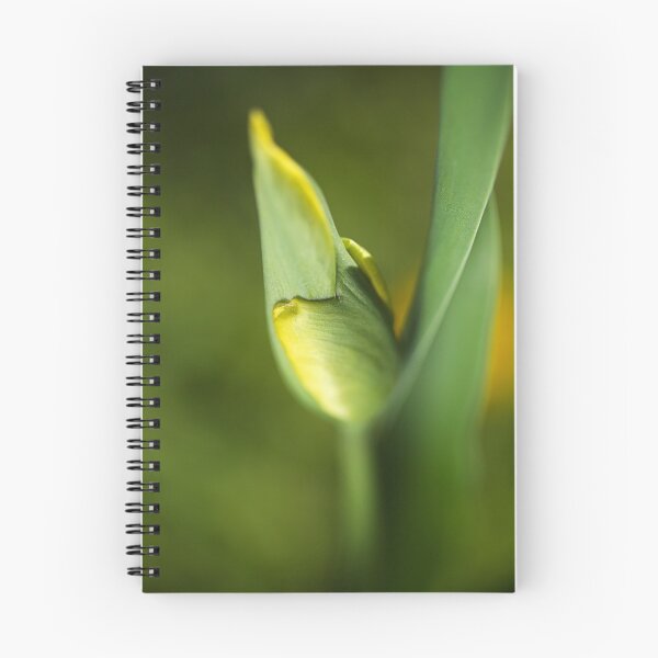 Item preview, Dreamy Yellow Tulip Bud designed and sold by Joy Watson - Natural Light Photography .