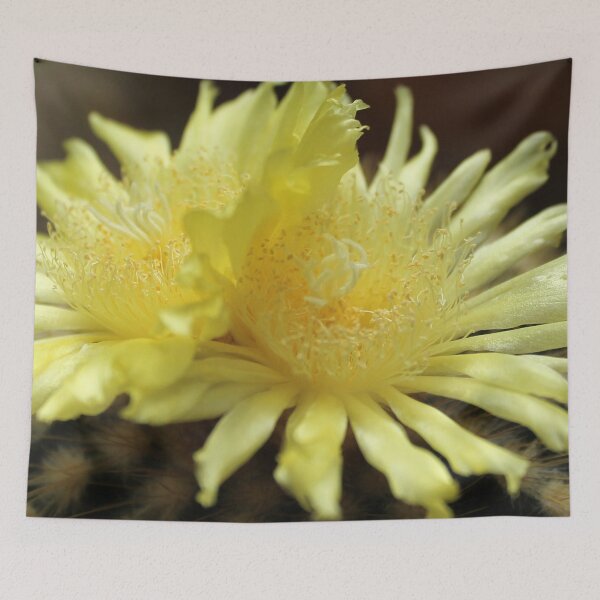 Item preview, Yellow cactusflower designed and sold by cuprum.
