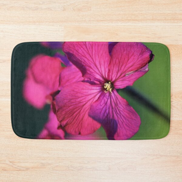 Item preview, Honesty designed and sold by cuprum.