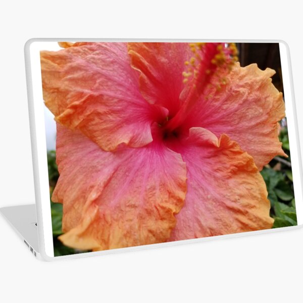Hibiscus Laptop Skin