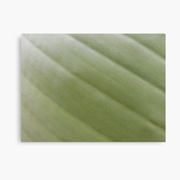 Green palm pattern Canvas Print