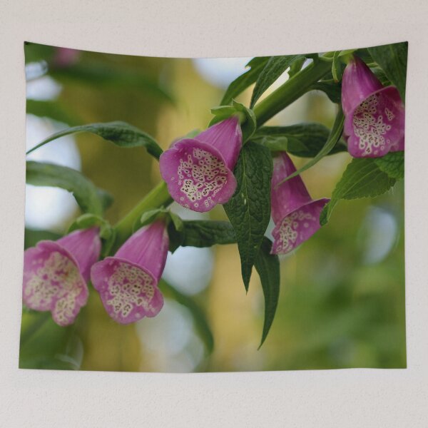 Item preview, Foxglove designed and sold by cuprum.