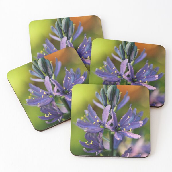 Item preview, Camassia designed and sold by cuprum.