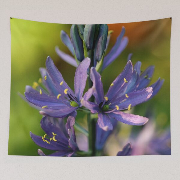 Item preview, Camassia designed and sold by cuprum.