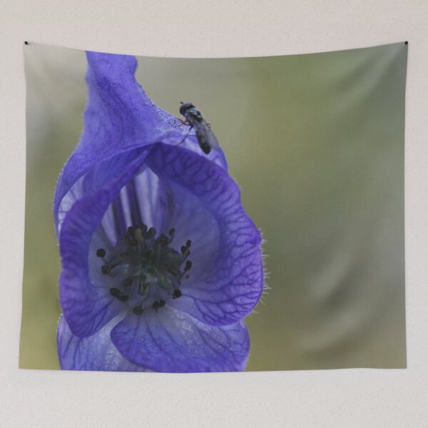 Item preview, Monkshood and guest designed and sold by cuprum.