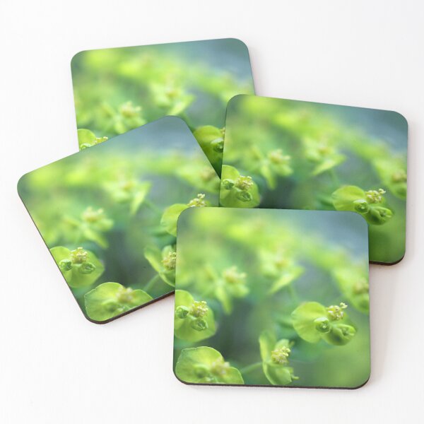 Item preview, Euphorbia designed and sold by cuprum.