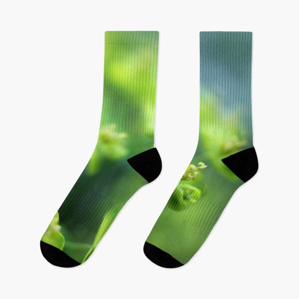 Item preview, Euphorbia designed and sold by cuprum.