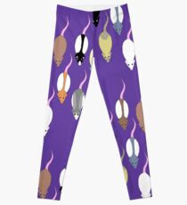 rat pack Leggings