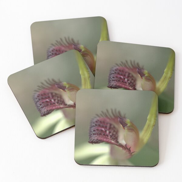 Item preview, Stiff White Spider Orchid designed and sold by Ben Loveday.
