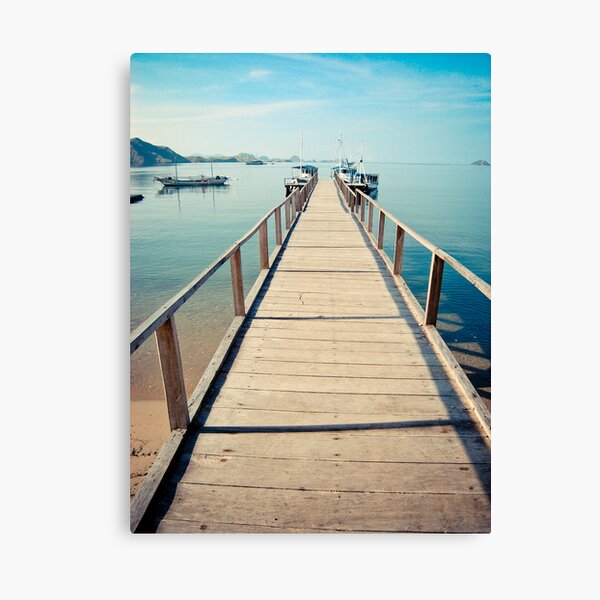 Step towards Komodo Canvas Print