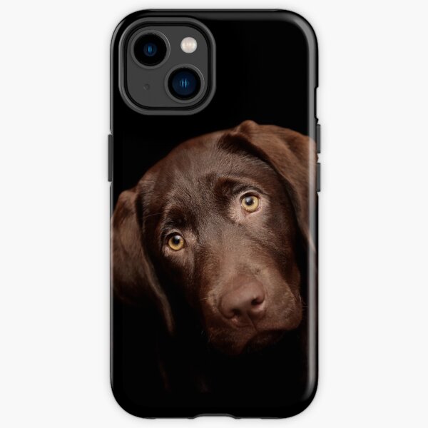 Franc Coque antichoc iPhone