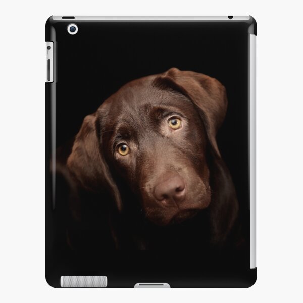 Frank iPad Snap Case