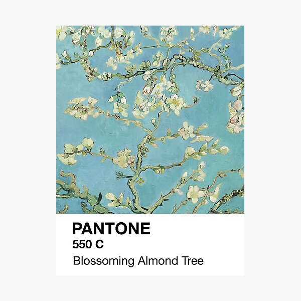 Pantone Blossoming Almond Tree Photographic Print