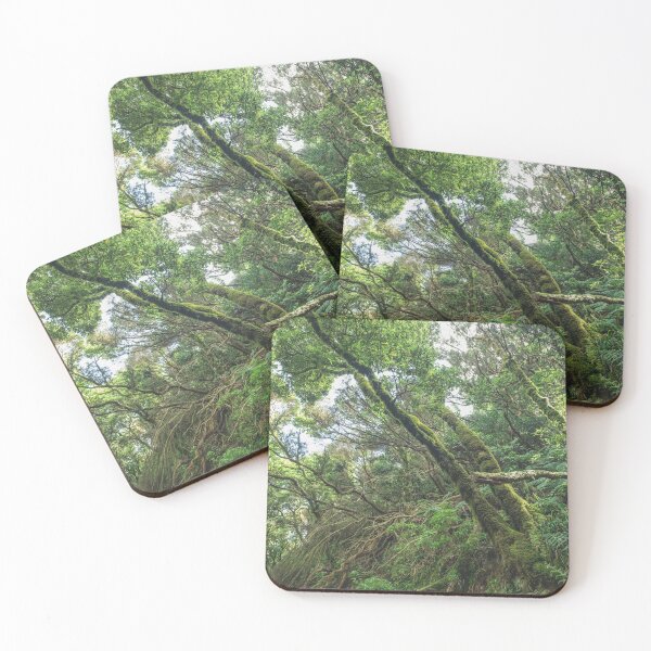 Item preview, Forest landscape, magical laurel tree jungle designed and sold by ohaniki.