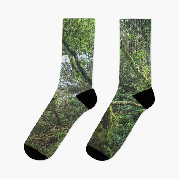 Item preview, Forest landscape, magical laurel tree jungle designed and sold by ohaniki.