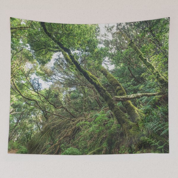 Item preview, Forest landscape, magical laurel tree jungle designed and sold by ohaniki.