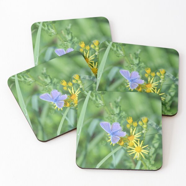 Item preview, Common blue butterfly  designed and sold by AnthonyThomas.