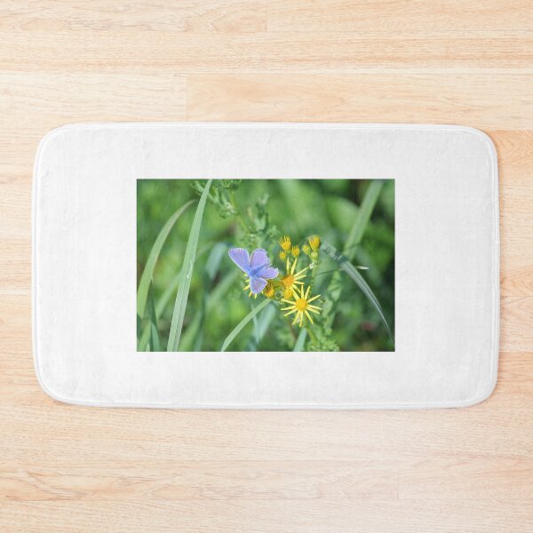 Item preview, Common blue butterfly  designed and sold by AnthonyThomas.
