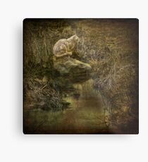 A Kitty for Kira, a Cat for Pat! Metal Print