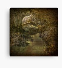 A Kitty for Kira, a Cat for Pat! Canvas Print