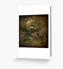 A Kitty for Kira, a Cat for Pat! Greeting Card